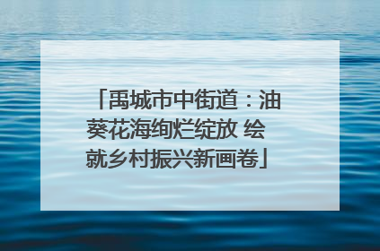 禹城市中街道：油葵花海绚烂绽放 绘就乡村振兴新画卷